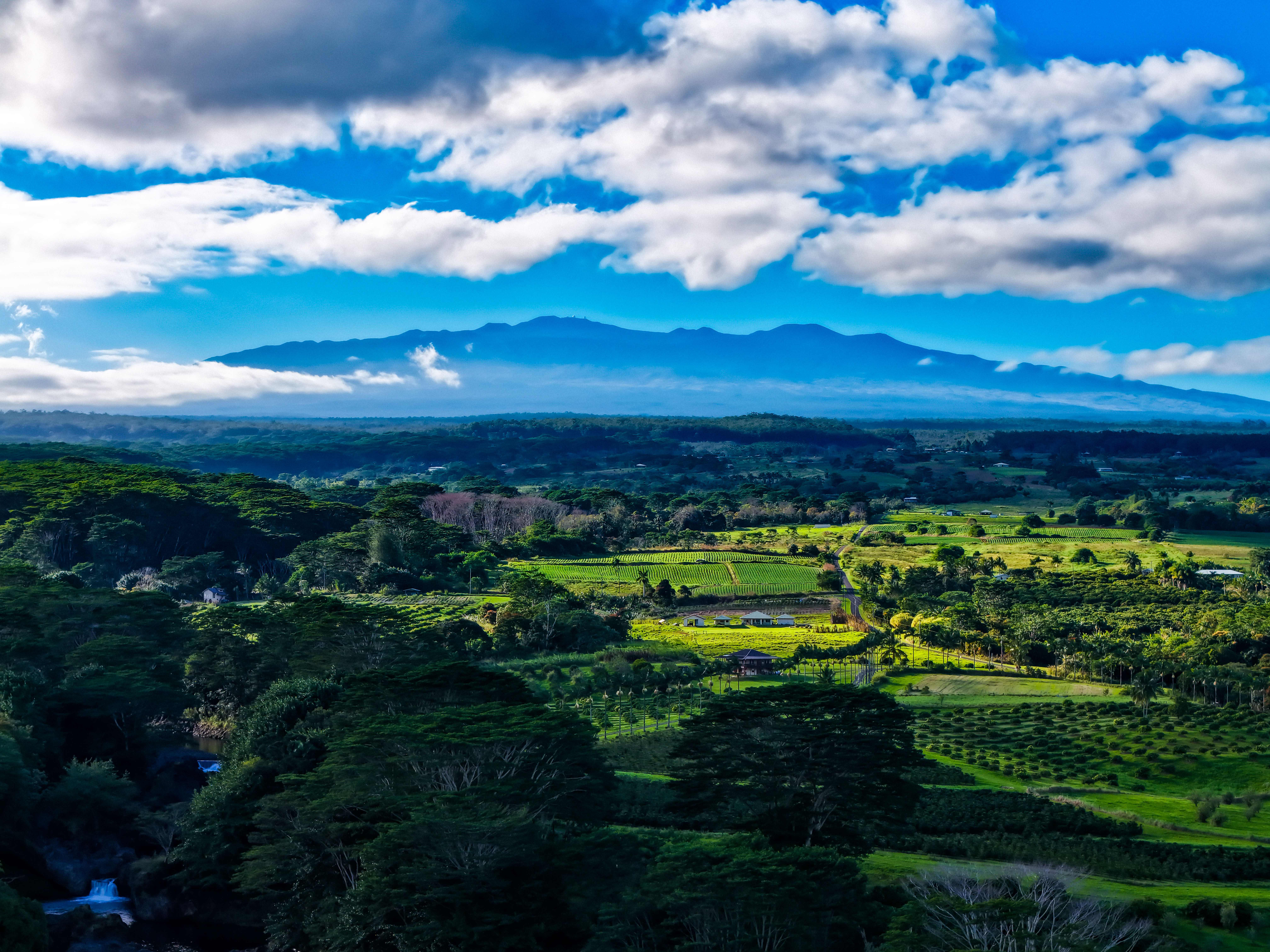 Mauna Kea Blues